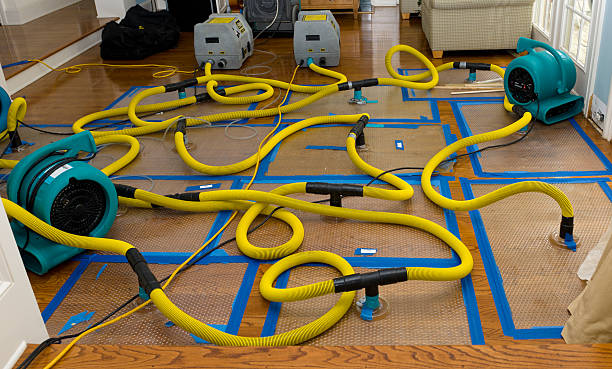 Professional Storm Water Damage Restoration technician working in Dixon, MO